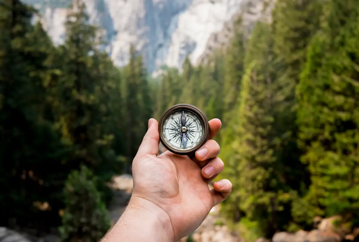 Intuitive Navigation in websites