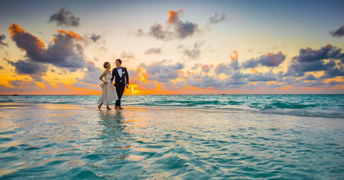 wedding website builder